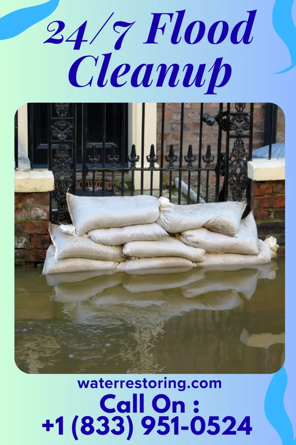 24/7 Flood Cleanup in South Dayton, NY