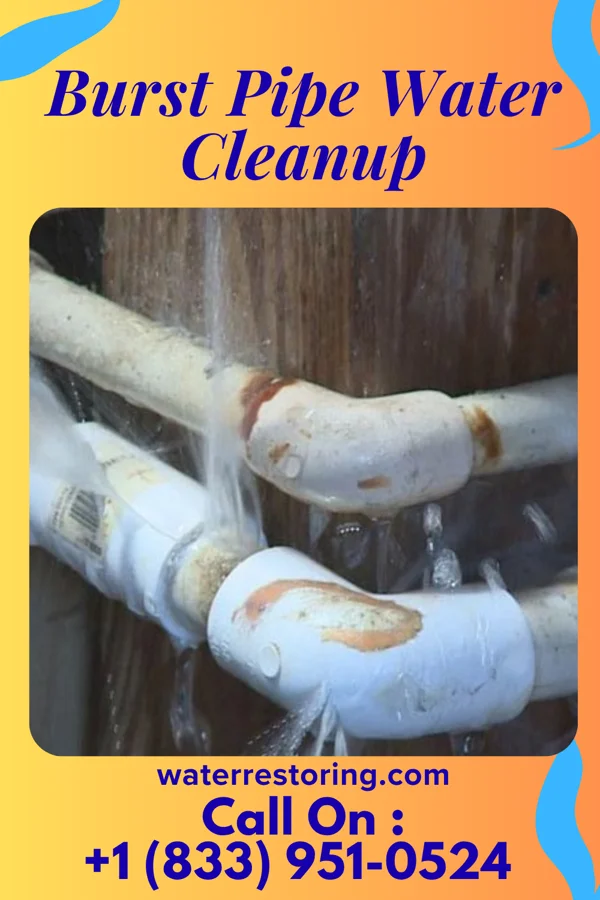 Burst Pipe Water Cleanup in South Dayton, NY