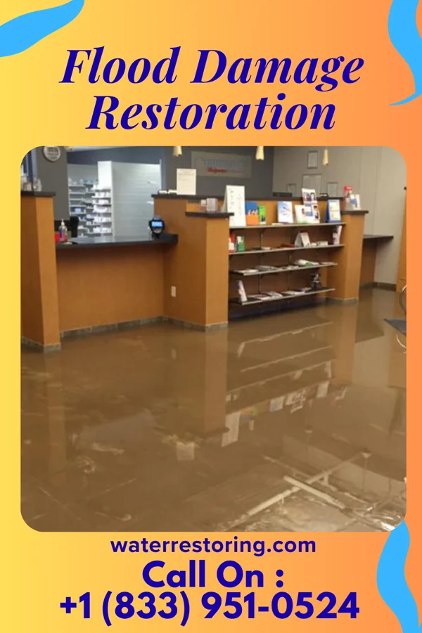 Flood Damage Restoration in South Dayton, NY