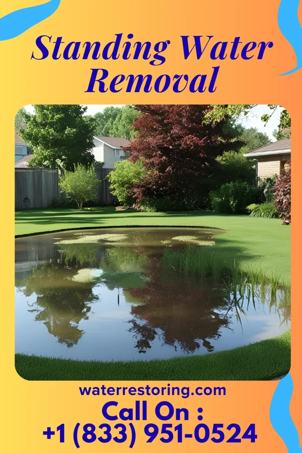 Standing Water Removal in South Dayton, NY